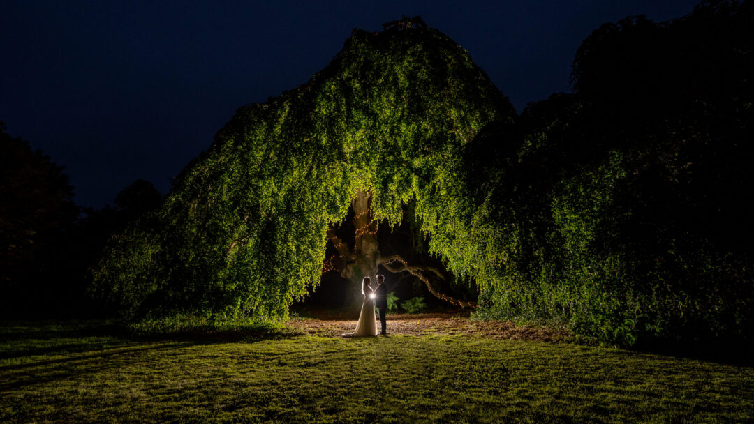 Bellinter House Hotel and Spa Wedding Tree
