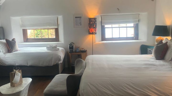 bellinter-b9203049-82b3-46ed-b4fe-bf8bb37029a4