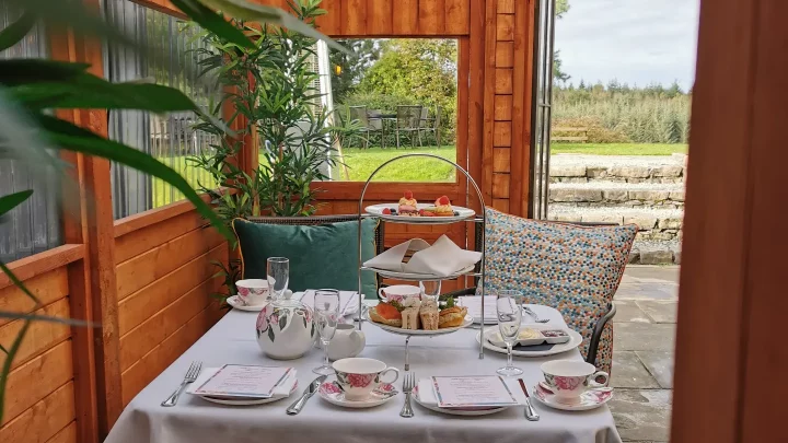 Outdoor afternoon tea