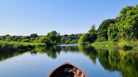 358453372_657066789774190_6507882893892052253_n