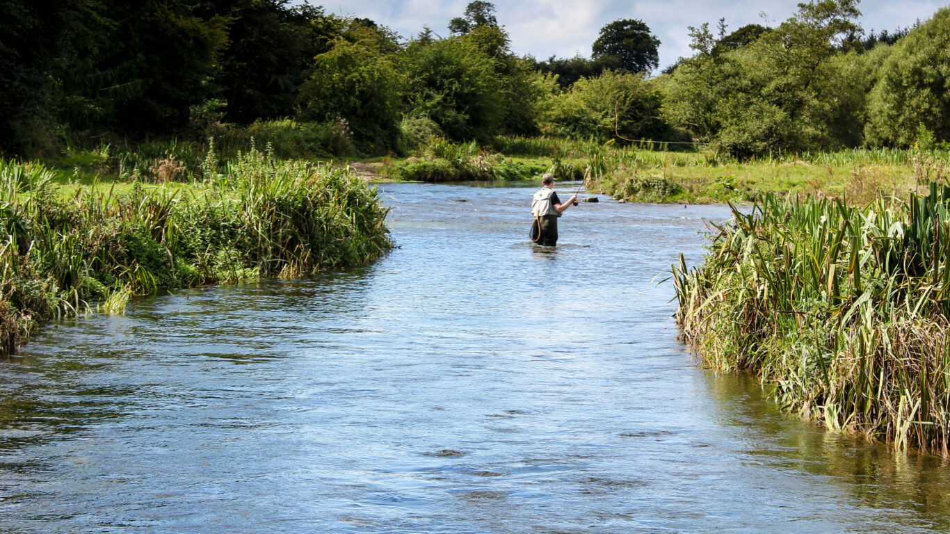 Man,Fly,Fishing,Casts,On,Irish,River