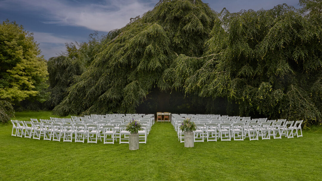 Weddings