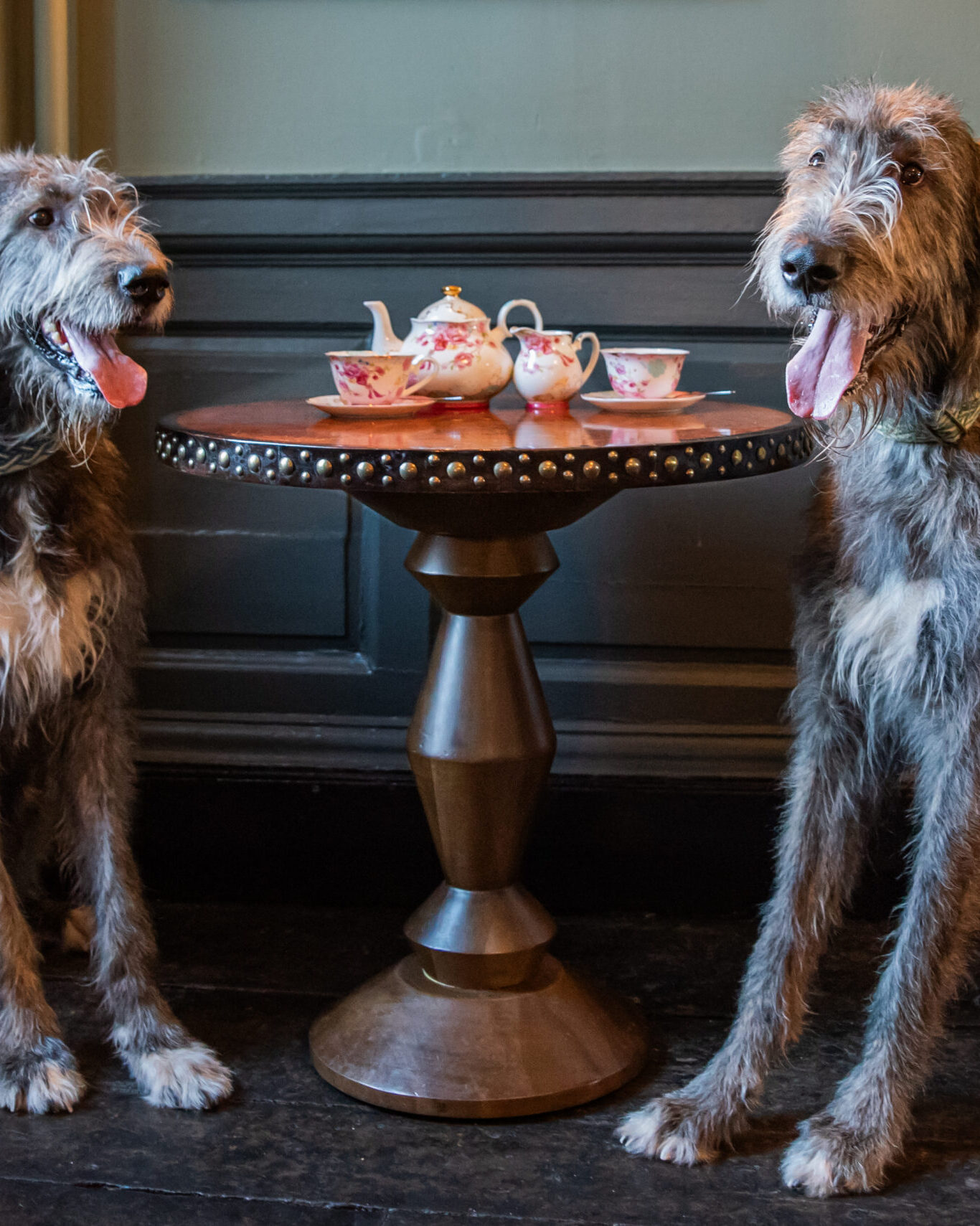 Dog Friendly at Bellinter House Hotel